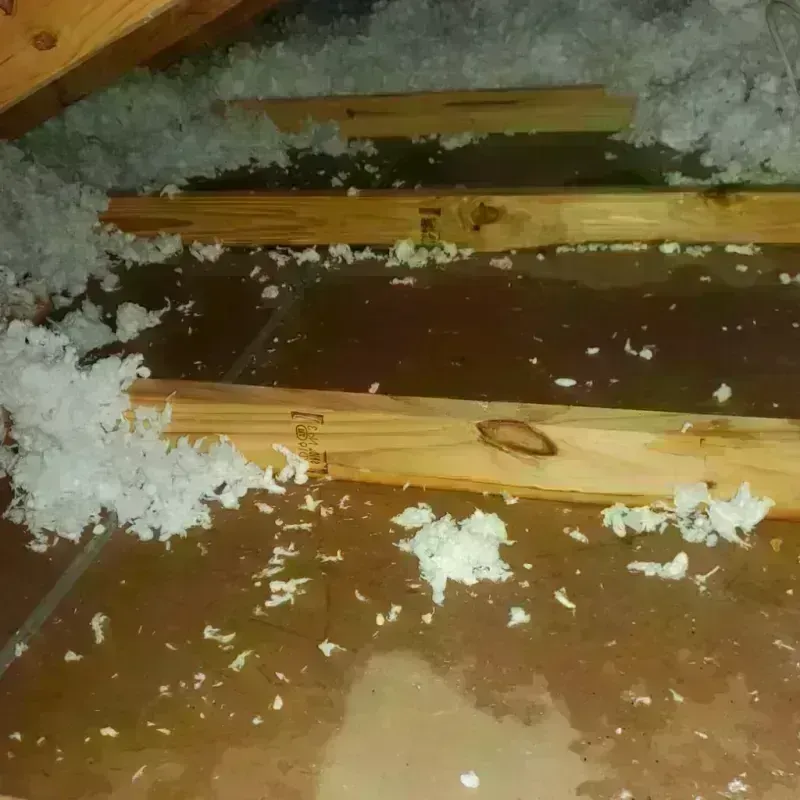 Attic Water Damage in Balm, FL